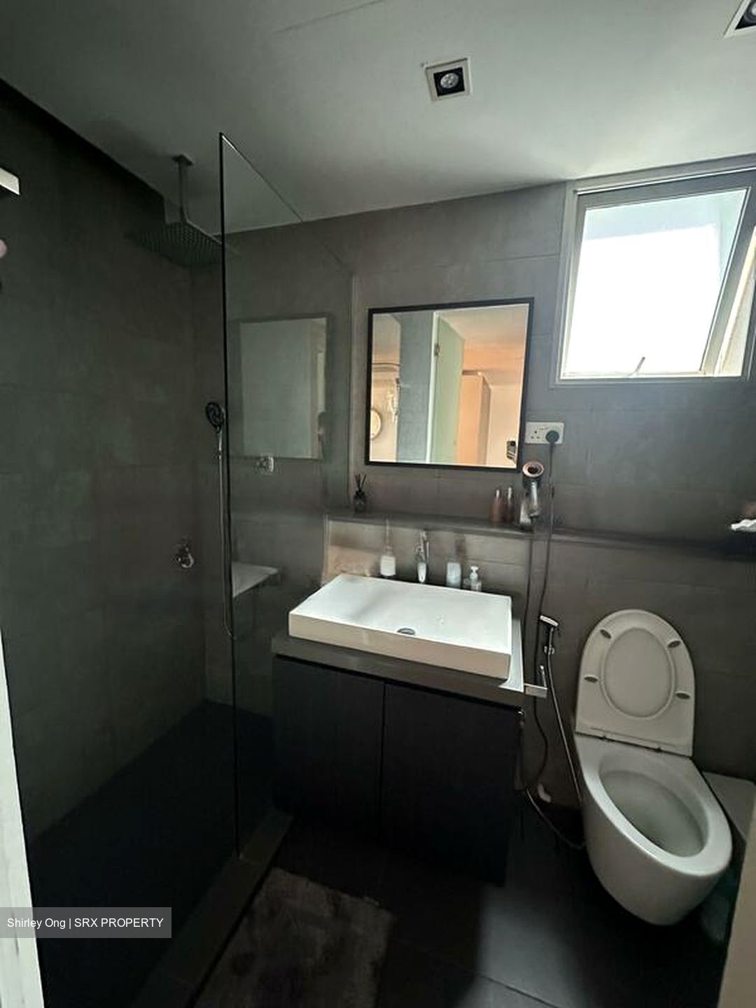 Cairnhill Crest (D9), Condominium #447691401